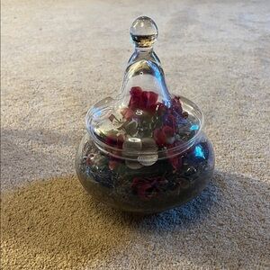 Elegant Glass Terrarium with Red Accents